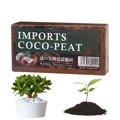 49039445950805|49039446016341|49039446049109