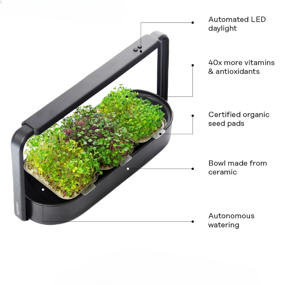 Organic Superfood Sprouting Seed Pads (3) | Auto 4-Stage LED Grow Lights & Hydroponic Watering System | Chic Steel Frame
