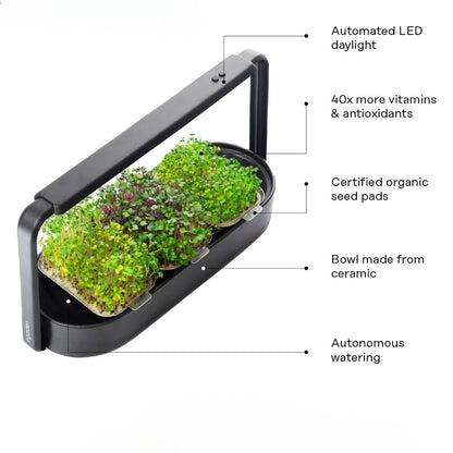 Organic Superfood Sprouting Seed Pads (3) | Auto 4-Stage LED Grow Lights & Hydroponic Watering System | Chic Steel Frame