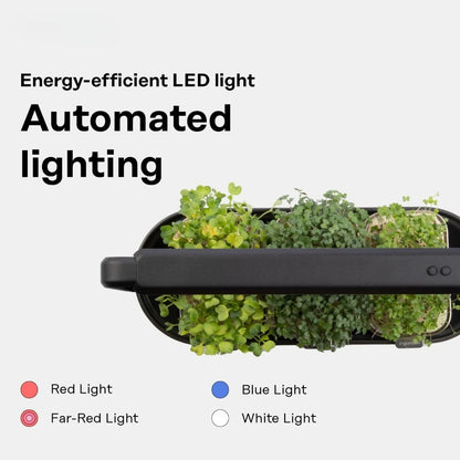 Organic Superfood Sprouting Seed Pads (3) | Auto 4-Stage LED Grow Lights & Hydroponic Watering System | Chic Steel Frame